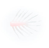 Bream Bug