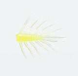 Bream Bug